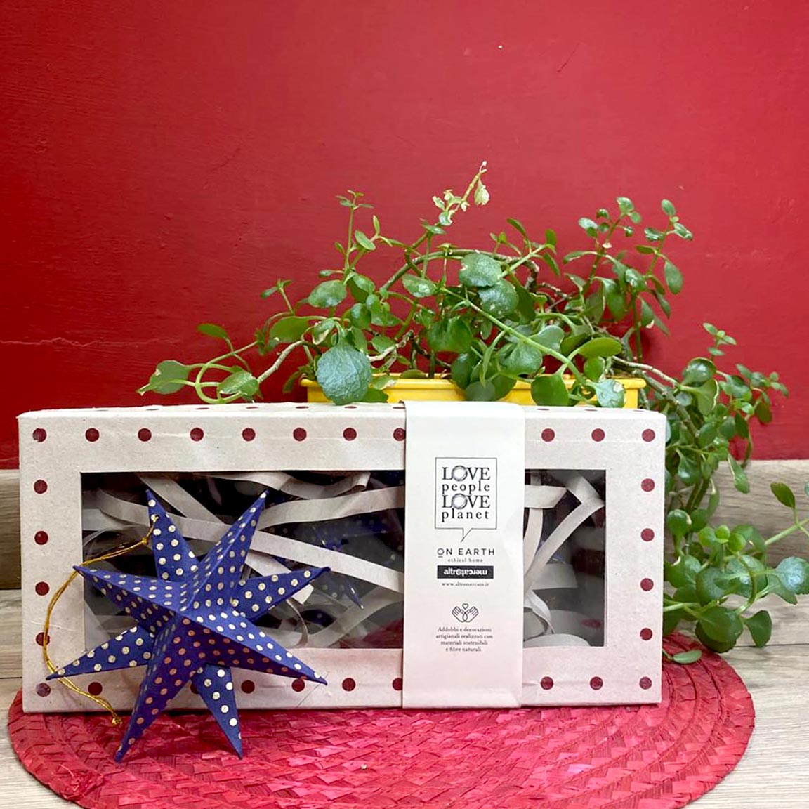scatola con sei decorazioni stella